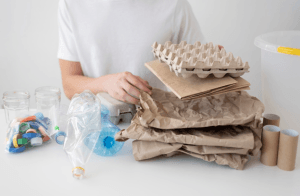 Eco-Friendly Materials in Action